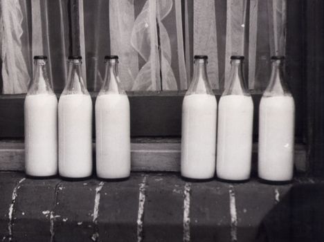 Milk