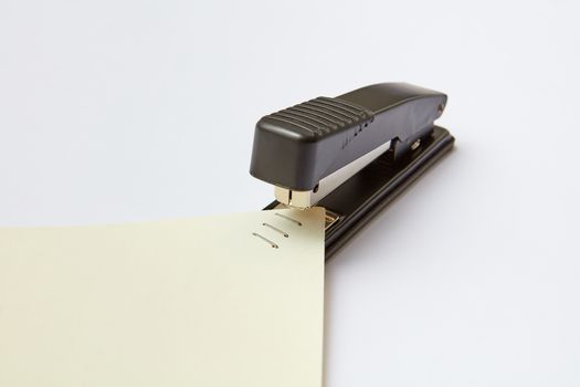 Staplers & punches
